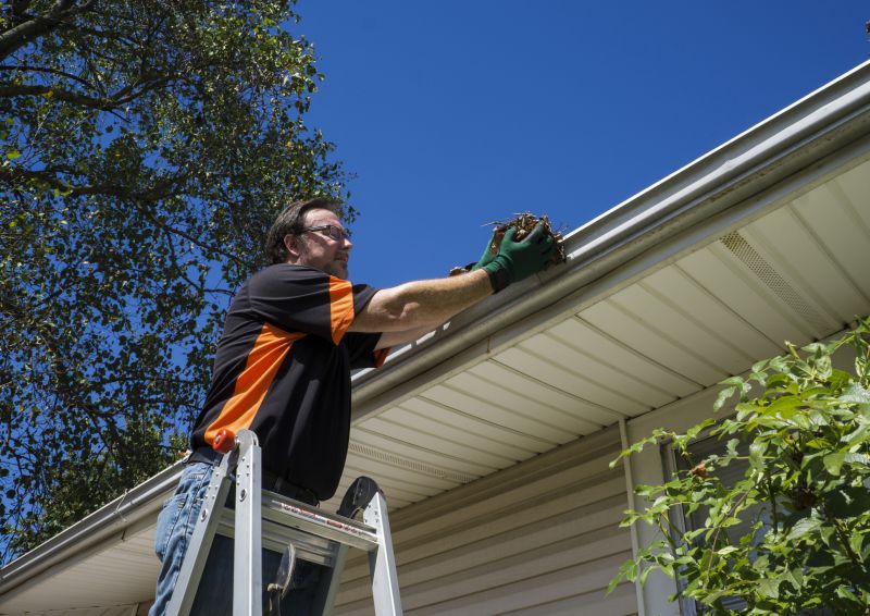 Gutter Leaf Clearing in Monmouth County, NJ