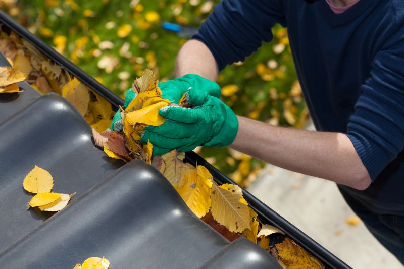 Gutter Leaf Clearing in Arvada, CO